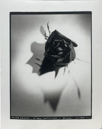 Quadro di firma Illeggibile Fiore rosato ...  - stampa carta 